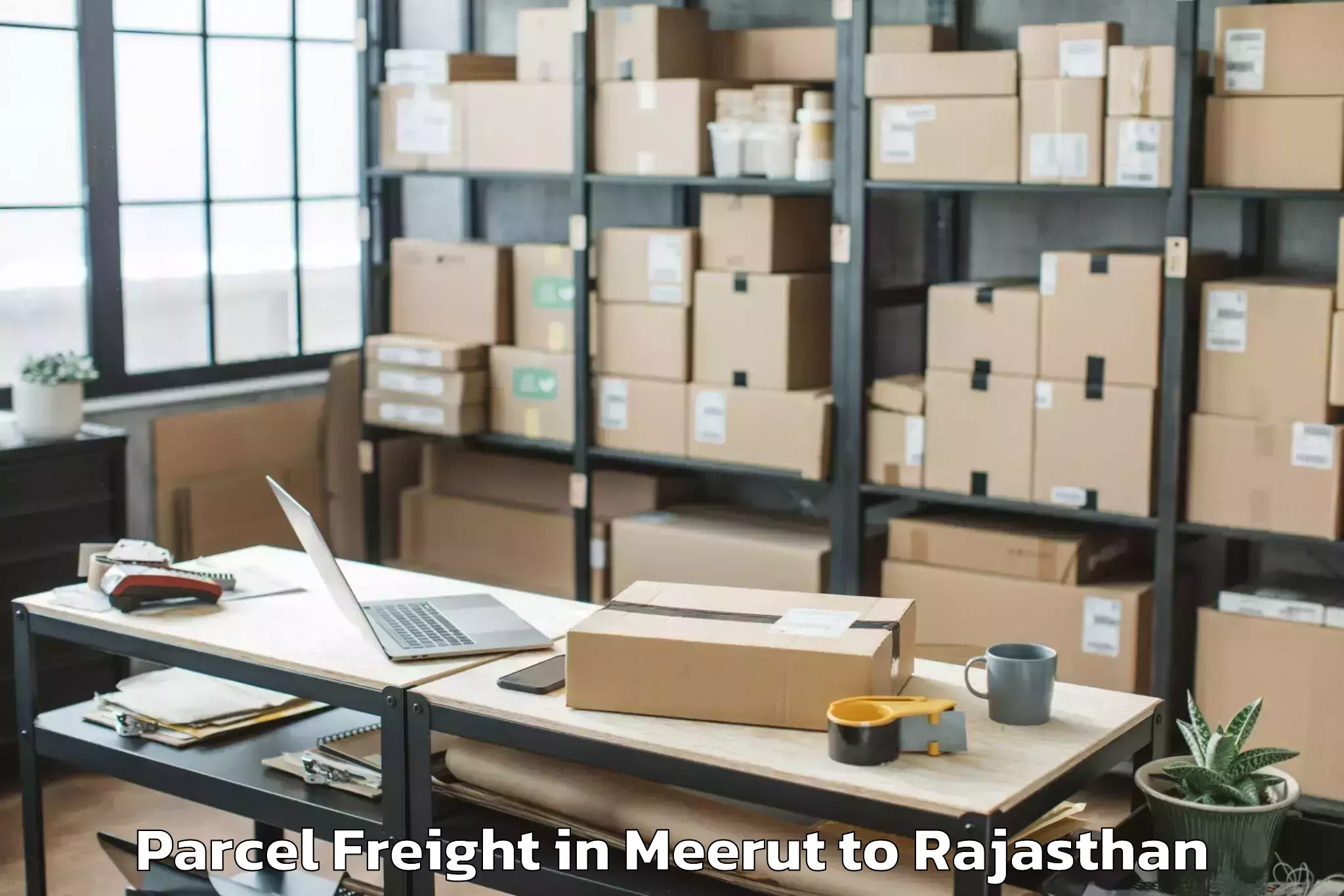 Book Meerut to Amet Parcel Freight Online